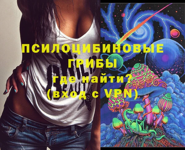 а пвп мука Абаза