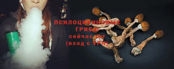 бошки Алексин