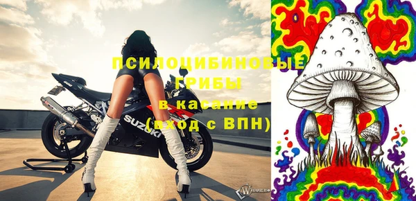 бошки Алексин