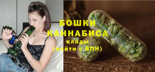 бошки Алексин