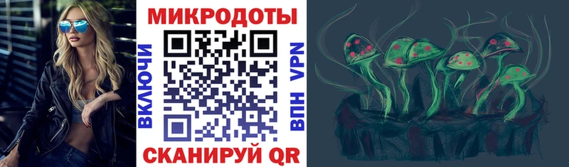 Галлюциногенные грибы MAGIC MUSHROOMS  нарко площадка клад  Сухиничи 